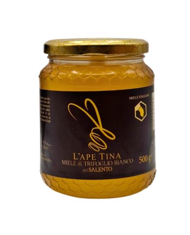White Clover Honey - 500gr